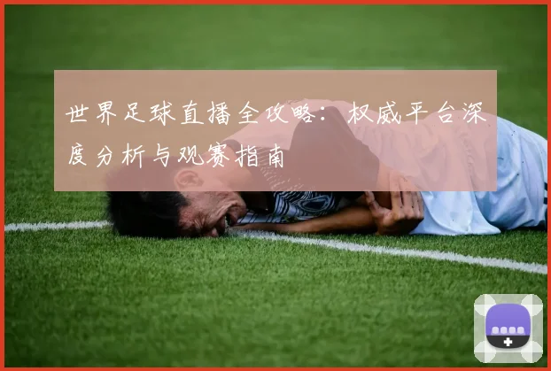 世界足球直播全攻略:权威平台深度分析与观赛指南