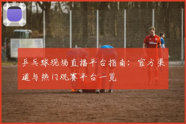 乒乓球现场直播平台指南:官方渠道与热门观赛平台一览