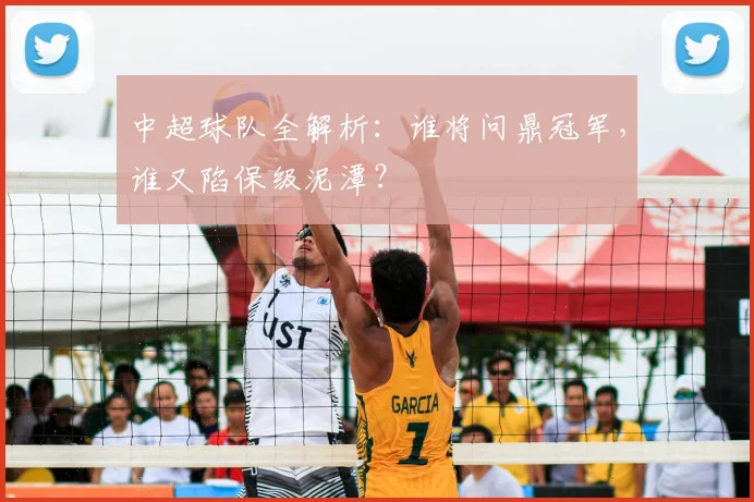 中超球队全解析：谁将问鼎冠军，谁又陷保级泥潭？